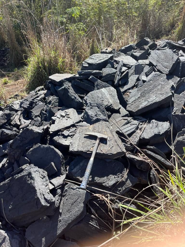 CVP identifica novos recursos na Bahia