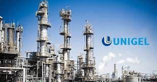 Petrobras e Unigel vão desenvolver negócios no setor