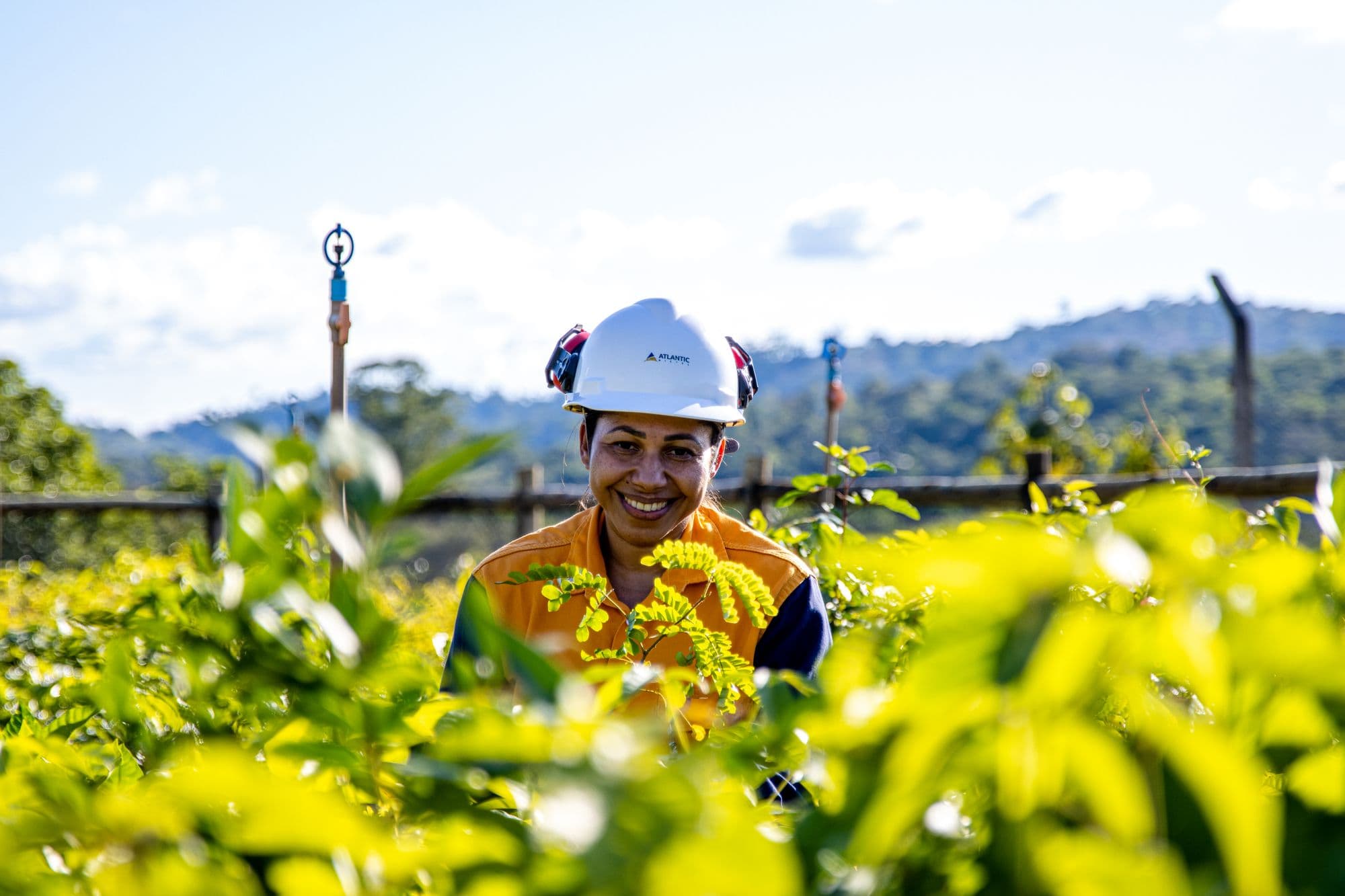 Appian refloresta quase 200 hectares de Mata Atlântica