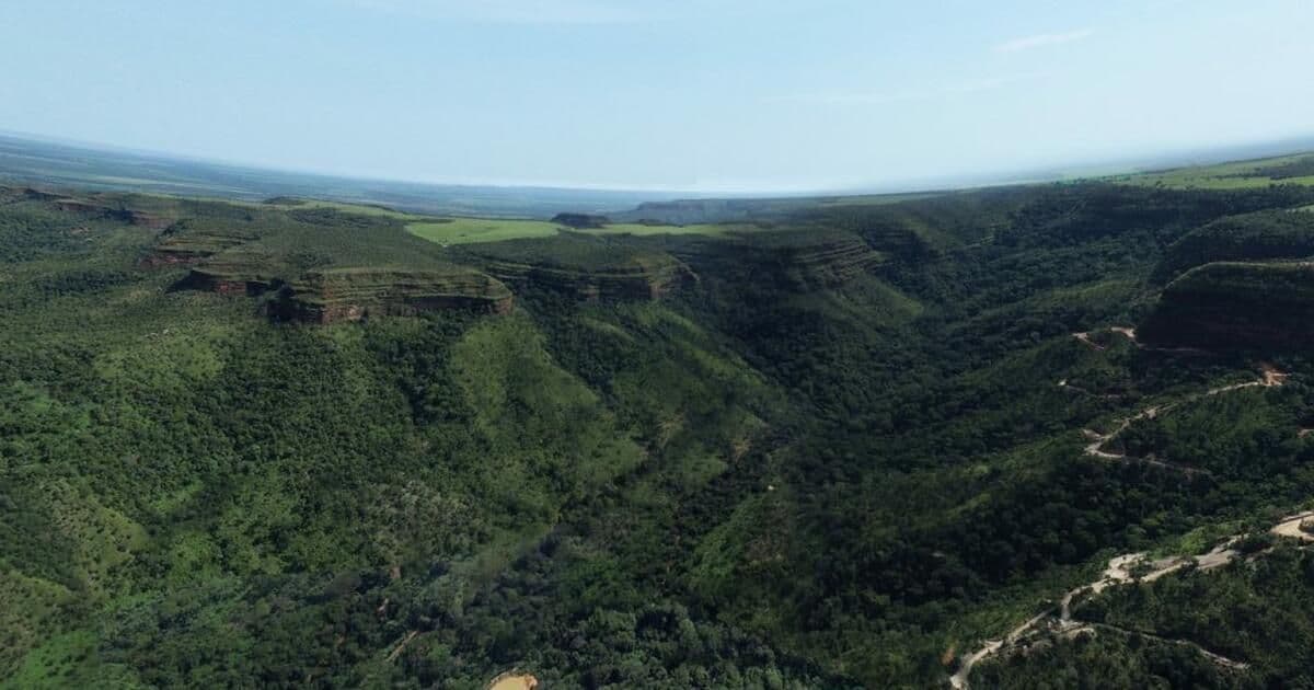 Cerrado Gold obtém LP para projeto no Tocantins