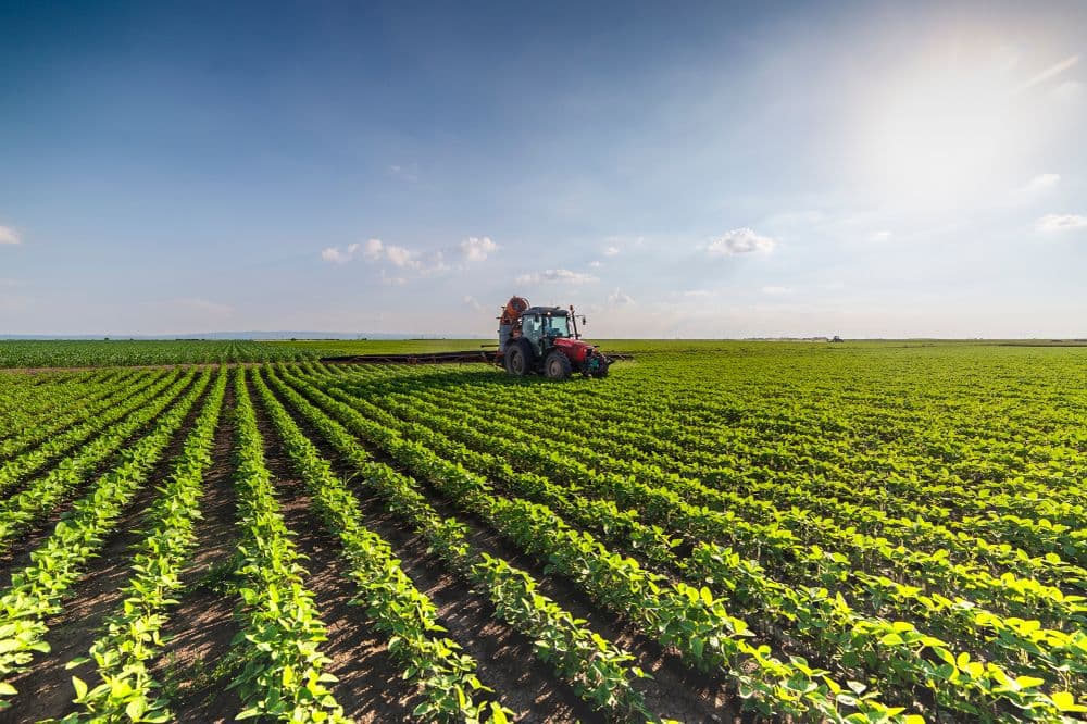 Abisolo quer mais investimentos para o setor