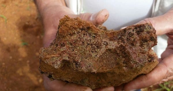 Harvest Minerals tem prejuízo no semestre