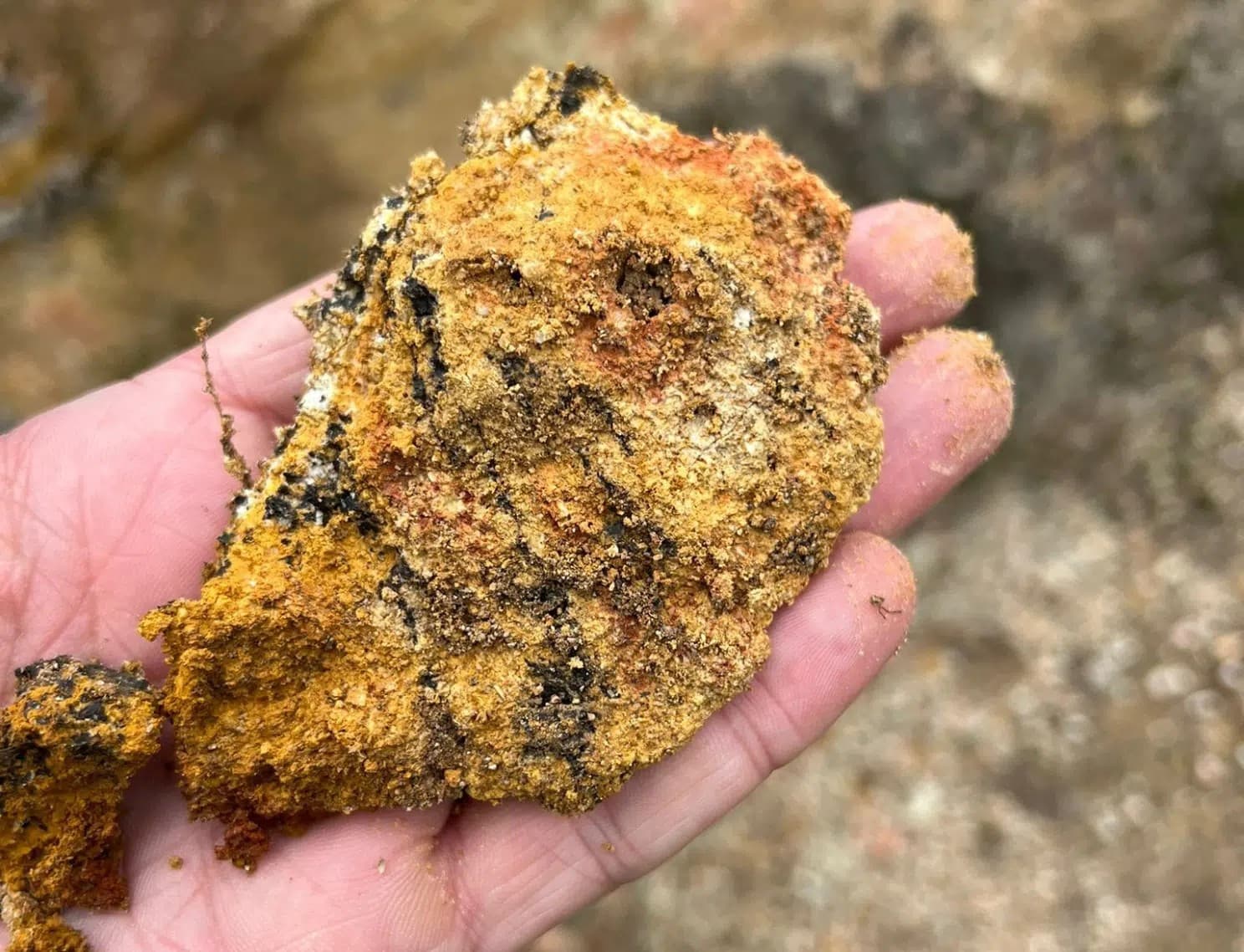 Meteoric Resources recebe Carta de Apoio de até US$ 50 milhões da EFA