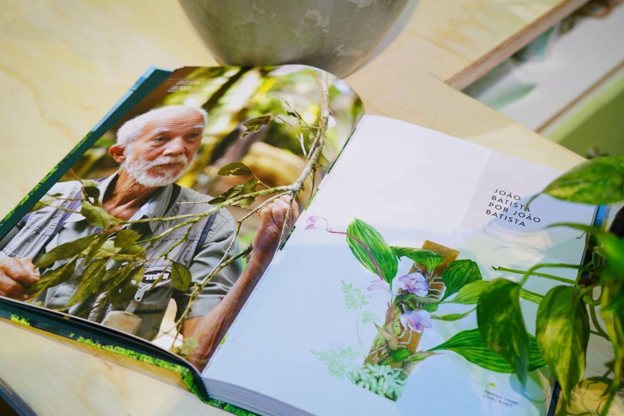 Pesquisador lança livro com 100 novas descobertas científicas da flora